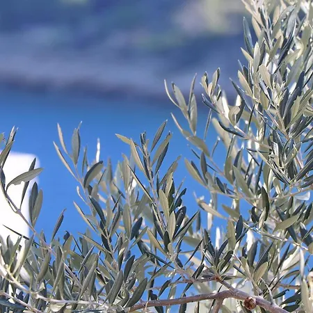 Vakantiehuis Peaceful House Senija