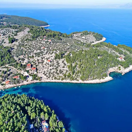 Vakantiehuis Peaceful House Senija Vela Luka