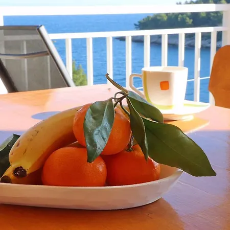 Peaceful House Senija Holiday home Vela Luka