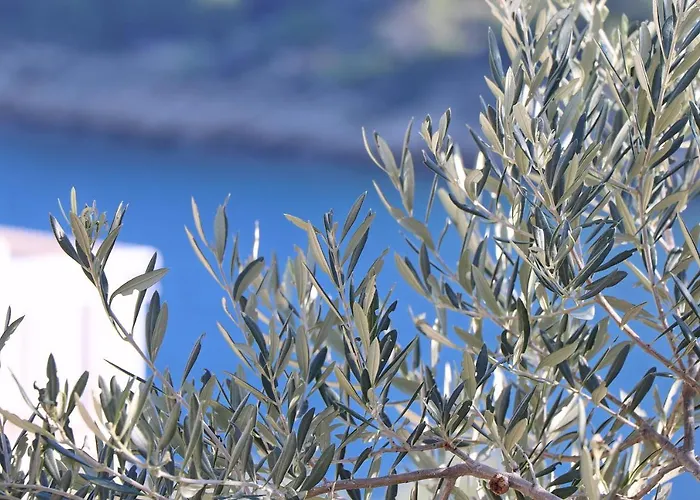 Nyaraló Peaceful House Senija